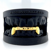 SOLID FANGS WITH FRONT BAR PLAIN