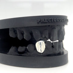 SOLID FANGS WITH HIDDEN BAR